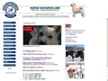 Puppies for sale from http://www.buhund.no