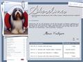 Puppies for sale from http://www.shorelines.se/