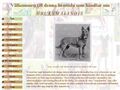 Puppies for sale from http://www.bruksmalle.com