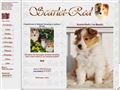 Puppies for sale from http://www.scarlet-red.com