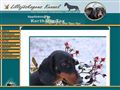 Puppies for sale from http://www.lillsjoskogens.nu/