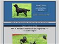 Puppies for sale from http://www.rintilla.com/