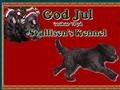 Puppies for sale from http://www.svallisens.se