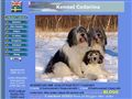 Puppies for sale from http://www.cedarina.se