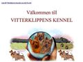 Puppies for sale from http://www.vitterklippens.com