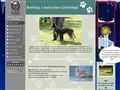 Puppies for sale from http://www.bushbugs.se
