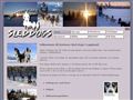 Puppies for sale from http://www.karlssonsleddogs.com/58.html
