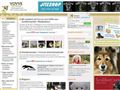 Puppies for sale from http://vovve.net/Rastplatsen/display_message.asp?mid=4353736&ei=wQ29Sbb9KInOtQO2y8gt&sa=X&oi=translate&resnum=39&ct=result&prev=/search?q=hund+till+salu&hl=en&lr=&num=100
