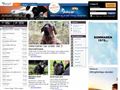 Puppies for sale from http://hundar.ifokus.se/Forum/Read.aspx?ThreadId=d84e3e31-b7d3-4cb3-b613-99f0bd5b2adc&GroupId=a7dc198c-fe29-4f6d-bf81-9e164e5172bb&GroupType=Se.iFokus.Community.Board.ForumGroup