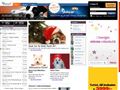 Puppies for sale from http://hundar.ifokus.se/Forum/Read.aspx?ThreadId=b5620b17-9d52-4570-82fd-b1c05d3ebbfb&ei=wg29Sb3TF5mQsQOto5CeAg&sa=X&oi=translate&resnum=43&ct=result&prev=/search?q=hund+till+salu&hl=en&lr=&start=200&num=100