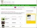 Puppies for sale from http://www.kennel.se/hundras/Riesenschnauzer_Svart/Kennel_Lislo.html