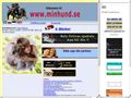 Puppies for sale from http://www.minhund.se/index1.html