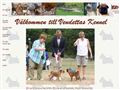 Puppies for sale from http://www.vendettas.se/valpar.html