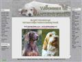 Puppies for sale from http://www.vantanskennel.se/pbgvvalpar.htm