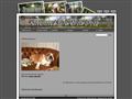 Puppies for sale from http://www.doggar.se/delagott/?Hundar%2FValpar:Valpar&ei=BBy9SeLAKpLQsAPx7f2dAg&sa=X&oi=translate&resnum=53&ct=result&prev=/search?q=kennel++valpar&hl=en&lr=&start=300&num=100
