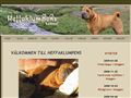 Puppies for sale from http://www.heffaklumpens.sharpei.se/?sida=value&id=3&ei=BRy9ScGNEoHwsAPLkqyKCw&sa=X&oi=translate&resnum=80&ct=result&prev=/search?q=kennel++valpar&hl=en&lr=&start=400&num=100
