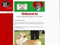 Puppies for sale from http://www.kennel-benfro.net