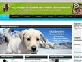 Puppies for sale from http://www.allahundar.se/register/kennlar
