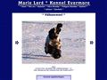 Puppies for sale from http://www.kennel-evermore.com/findus17.htm