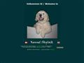 Puppies for sale from http://www.skylock.dk