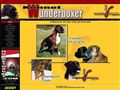 Puppies for sale from http://www.wunderboxer.com