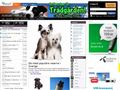 Puppies for sale from http://hundar.ifokus.se/Forum/Read.aspx?ThreadId=dd128aec-e51b-4e12-9020-6ead9d4811e3