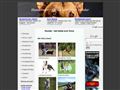 Puppies for sale from http://www.hundcenter.eu/Sally.asp