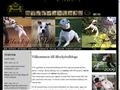 Puppies for sale from http://www.blockybulldogs.com/historiaindex.htm