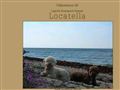 Puppies for sale from http://www.locatella.se/omoss.html