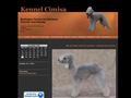 Puppies for sale from http://www.cimisa.net/guestbook.htm
