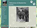 Puppies for sale from http://www.banderillaskennel.se/19556526?cp=2&ei=rCK9SY66N5K2sAOmpNAt&sa=X&oi=translate&resnum=9&ct=result&prev=/search?q=kennel++boxer&hl=en&lr=lang_sv&start=400&num=100
