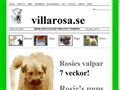 Puppies for sale from http://www.villarosa.se/ABOUTUS.htm