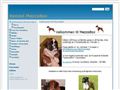 Puppies for sale from http://www.mezzobox.dk/new/index.php?option=com_content&view=article&id=51&Itemid=60&ei=vyS9ScnaKZnMsAPQnY2eAg&sa=X&oi=translate&resnum=52&ct=result&prev=/search?q=kennel++boxer+salg&hl=en&lr=lang_da&start=100&num=100
