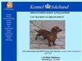 Puppies for sale from http://www.adeltand.dk/nyt.html