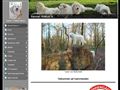 Puppies for sale from http://www.kennel-kroesus.dk/1865311
