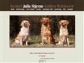 Puppies for sale from http://www.julisstjerne.dk/dk/dk-holdninger.htm