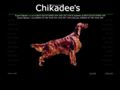 Puppies for sale from http://www.chikadee.dk/da/guestbook/old1.php