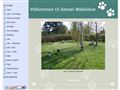 Puppies for sale from http://www.kennel-mikkelboe.dk/7287152