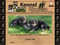 Puppies for sale from http://www.rindum.com/