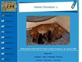 Puppies for sale from http://www.kennel-stovdalens.dk/1936337