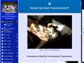 Puppies for sale from http://www.kennel-red-bull.dk/12315138