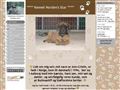 Puppies for sale from http://www.kennel-nordens-star.dk/9038696