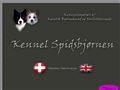 Puppies for sale from http://fuhlendorf.dk/dansk/kareler/hvalpe.htm