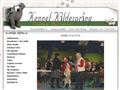 Puppies for sale from http://www.kildespring.com/250-resultaternyt_2009.htm