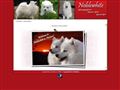 Puppies for sale from http://www.noblewhite.fi/results.htm