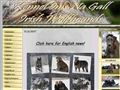 Puppies for sale from http://www.inisnagall.net/om_oss/