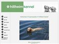 Puppies for sale from http://www.hillheim.com/valpekull.html