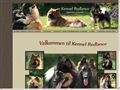 Puppies for sale from http://www.redlance.no