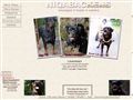 Puppies for sale from http://www.niqabackens.com/