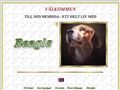 Puppies for sale from http://beaglar.com/